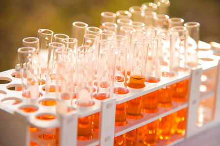 Lab science research glass items adding drop to one of several test tubes. A scientific experiment in a science research Laboratory.の写真素材