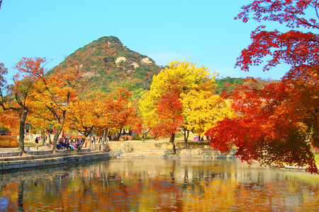 It is the autumn scenery of Gyeongbokgung Palace.のeditorial素材