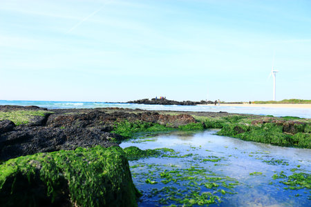 It is a beautiful scenery of Gimnyeong Beach in Jeju.