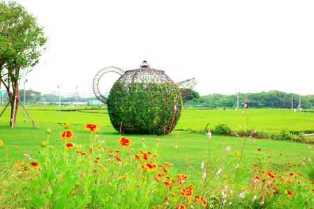 It is the landscape of oshilok green tea field in Jeju.のeditorial素材
