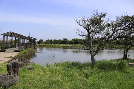 It is the scenery of the nail of Jeju Islandのeditorial素材