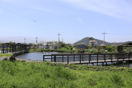 It is the scenery of the nail of Jeju Islandのeditorial素材