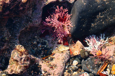 Jeju is an underwater landscape.