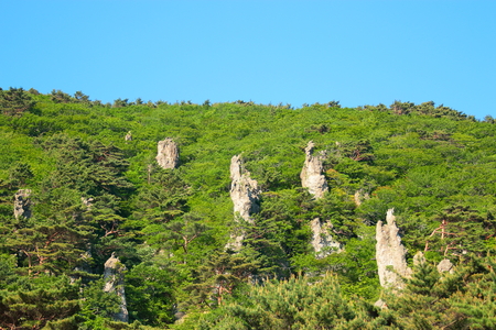 It is the spring landscape of "Hanla mountain" in Jeju.の写真素材