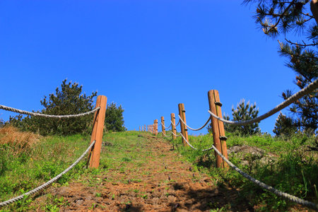 It is the spring landscape of Munseok-san mountain in Jeju Island.