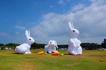 It is a rabbit balloon.のeditorial素材