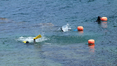 Jeju haenyeo work at sea.