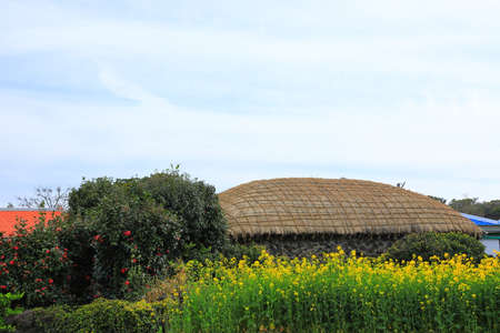spring scenery of Seongeup Folk Village in Jeju Island.の写真素材