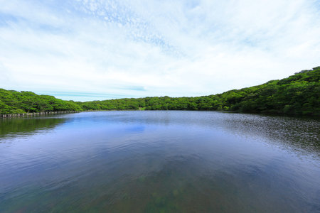It is a summer landscape of Sara Oreum in Hallasan Mountain in Jeju Island.の写真素材