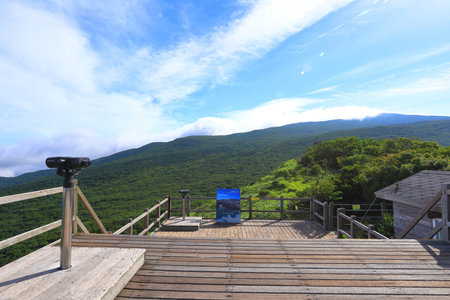 It is a summer landscape of Sara Oreum in Hallasan Mountain in Jeju Island.