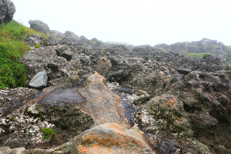 This is the summer scenery of Seongpanak Course in Hallasan Mountain in Jeju Island.の写真素材