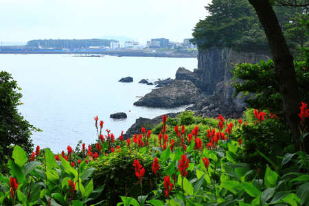 It is a summer landscape of the beautiful coast of Jeju Island.の写真素材