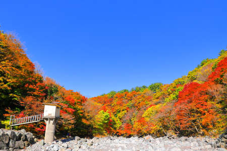 It is an autumn scenery of Cheonya Valley in Hallasan Mountain, Jeju Island, where the autumn leaves are beautiful.の写真素材