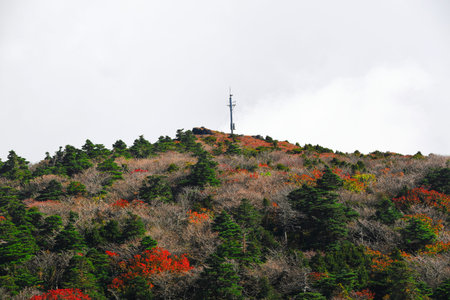 It is a beautiful autumn landscape of Hallasan Mountain in Jeju Island.