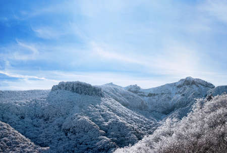 It is a beautiful winter landscape of Hallasan Mountain in Jeju Island.の写真素材