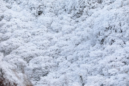 It is a beautiful winter landscape of Hallasan Mountain in Jeju Island.