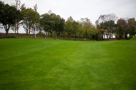 Golf course with green grass and trees in the autumn season.の写真素材