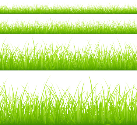 Set Of Four Green Meadows Banners Different Heigthsのイラスト素材