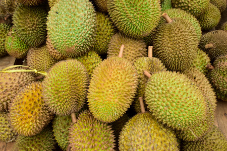 Durian fruit - durian fruit in large quantities, durian fruit in the market, durian fruit in a...