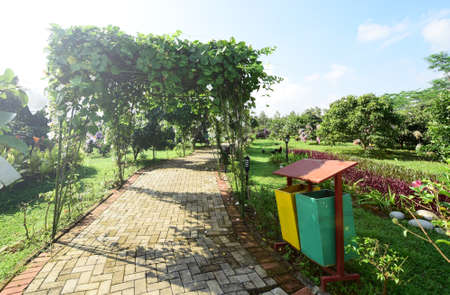 Parks - Clean and beautiful parks in the city, Trash cans in parksの写真素材