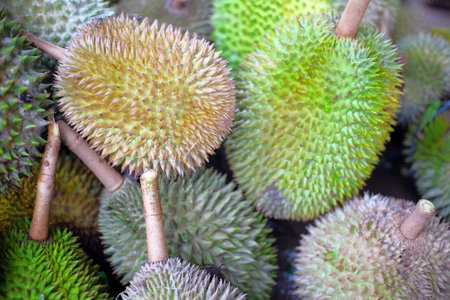 Durian fruit - durian fruit in large quantities, durian fruit in the market, durian fruit in a...