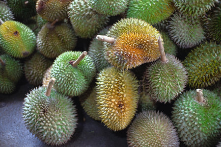 Durian fruit - durian fruit in large quantities, durian fruit in the market, durian fruit in a basketの写真素材