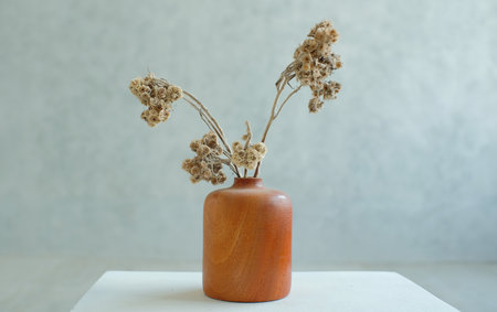 Dried flowers in a pot on a white backgroundの写真素材