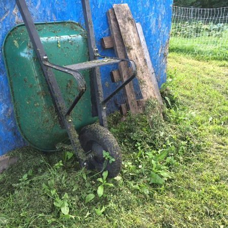 wheelbarrow and blue shedの写真素材