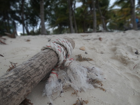 Rope on logの写真素材