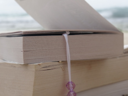 Books on beachの写真素材