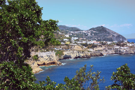 Sea, mountains and olive trees Calabria.