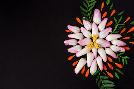 Arrangement of flower petals on a black background