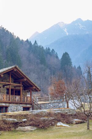 Houses to the mountain village among the trees. Spruce and deciduous trees grow in the forest. Spring day.の写真素材