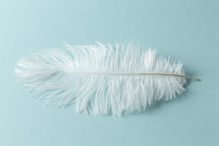 Beautiful fluffy long white feather lies horizontally on a blue background.