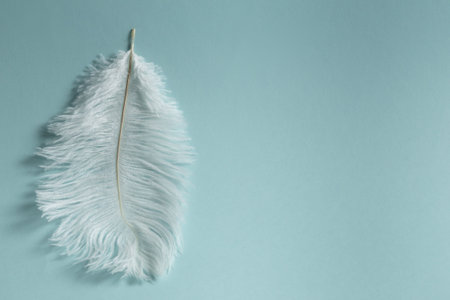 A beautiful fluffy long white feather lies vertically against a blue background
