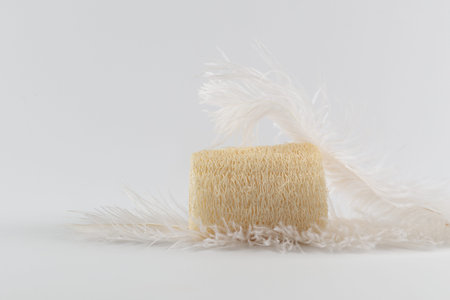 Natural ecological loofah is surrounded by two soft delicate feathers. Side view. On white background.の写真素材
