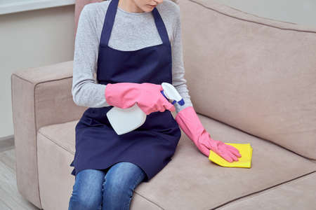 A girl in gloves and an apron cleans upholstered furniture in the living room. Living room cleaning. Professional cleaner.の写真素材