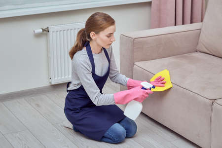 Professional house cleaning. A girl in gloves applies cleaning agent to the sofa. Home routine. Cleaning of rooms.の写真素材