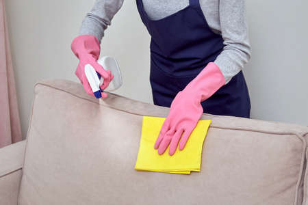 Apply a cleaning agent, household chemicals, spray to furniture. Thorough cleaning of the living room. Professional cleaner.の写真素材