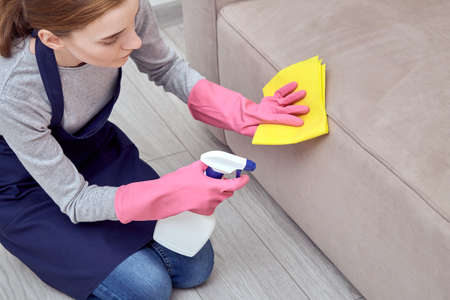 The girl applies a cleaning agent, household chemicals to the furniture. Thorough cleaning of the living room. Professional cleaner.の写真素材