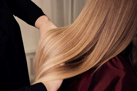 A view from the back of long, straight, shiny hair. A female hairdresser lifts her hair. Beauty salon. Professional hair care.の写真素材