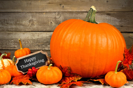 Autumn pumpkins with Happy Thanksgiving chalkboard tag against a rustic wood background