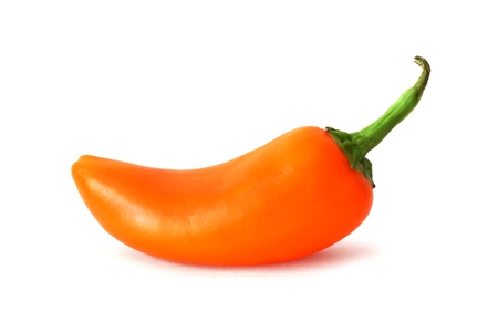 Single orange mini sweet pepper isolated on a white backgroundの写真素材