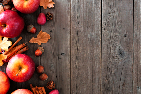 Autumn side border of apples and fall ingredients on a rustic wood background with copy spaceの写真素材