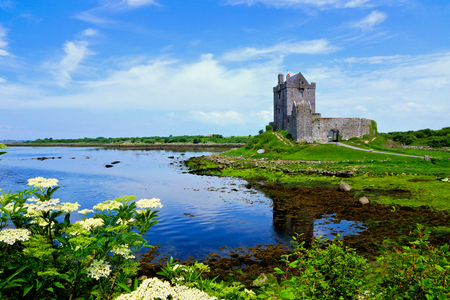 View of the medieval Dunguaire Castle along the shore of Galway Bay with reflections and flowers, Irelandの写真素材