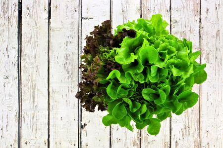 Bunch of mixed lettuce, butter, red and green leaf, top view over white woodの写真素材