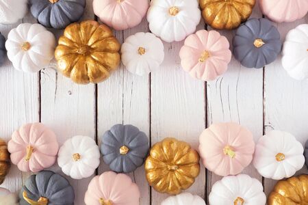Autumn double border of dusty rose, white, gold and gray pumpkins on a white wood backgroundの写真素材
