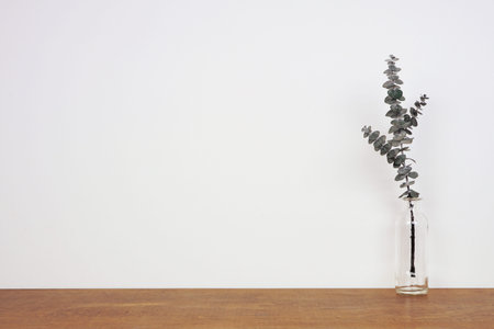 Eucalyptus branch in a clear vase on wood shelf against a white wallの写真素材