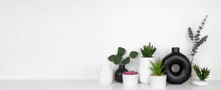 Modern black and white home decor and plants on a shelf. White shelf against a white wall. Banner with copy space.の写真素材