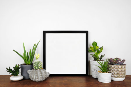Mock up black square frame with a variety of houseplants. Wood shelf against a white wall. Copy space.の写真素材